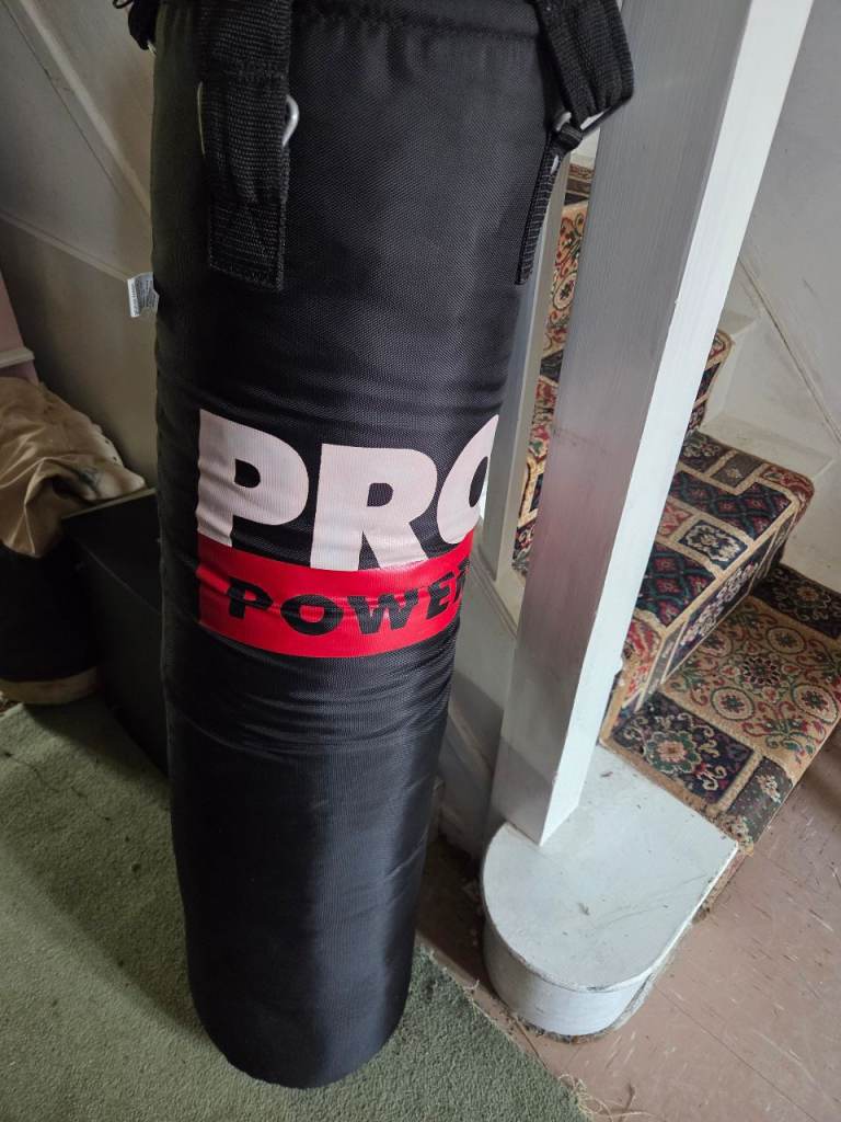 Large boxing bag 