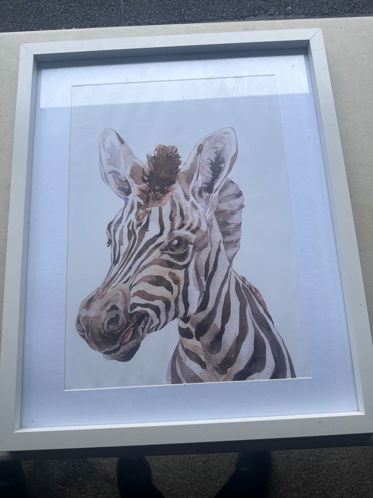 Set of 3 Baby Animal Prints in White Frames – As Good As New