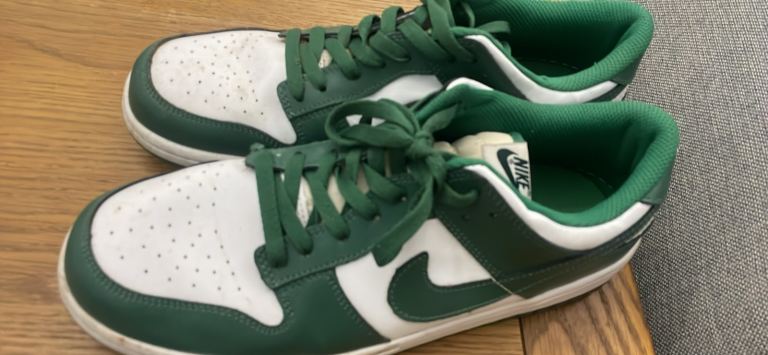 Size 12 men Jordan dunks 