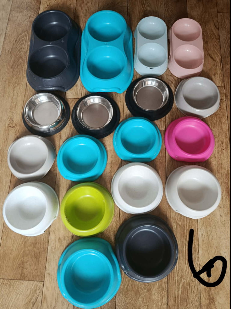 pet items for guinea pigs 
