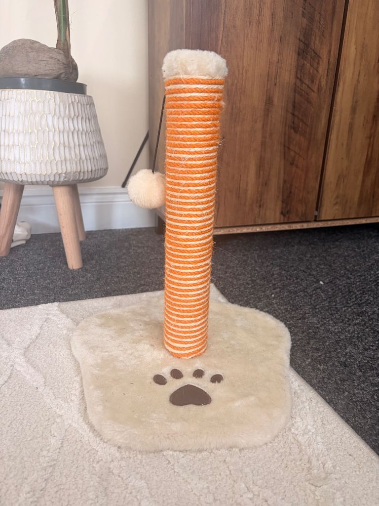 cat scratch