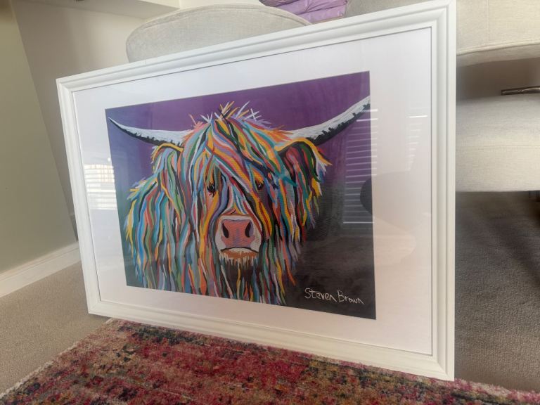 Steven brown print 