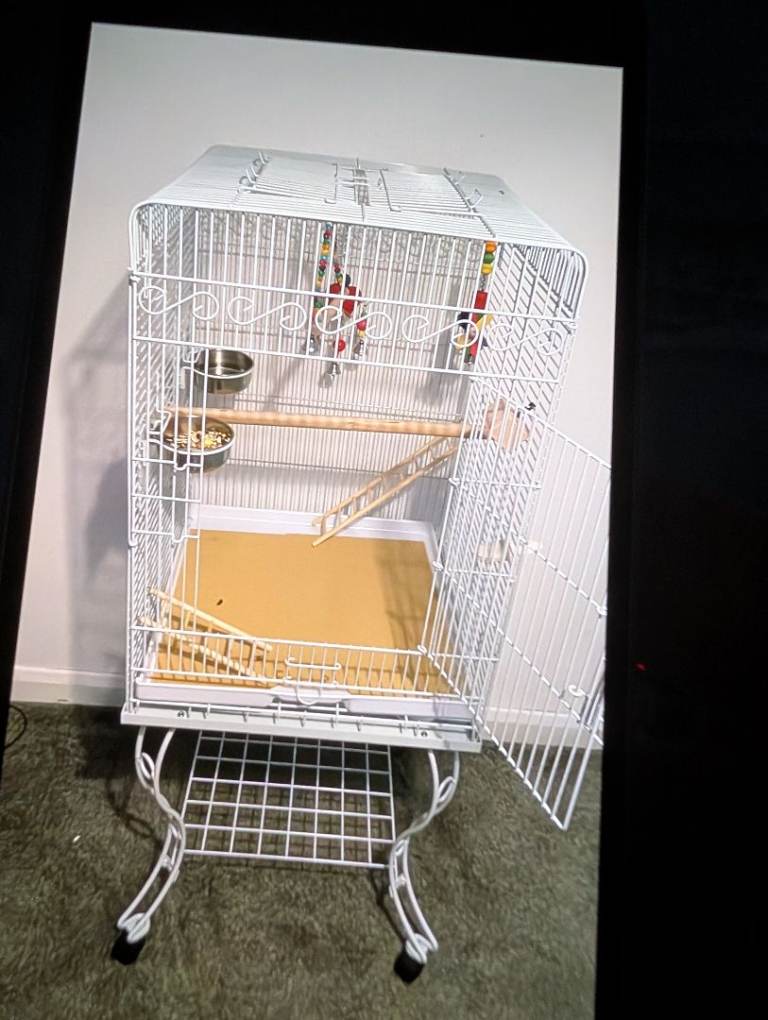 Bird cage 