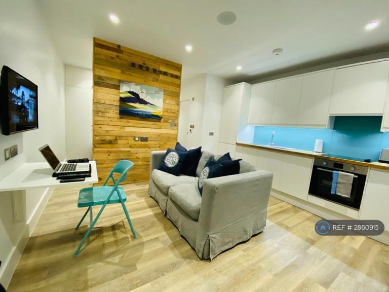 Studio flat in Clapham Park Road, London, SW4 (#2860915)