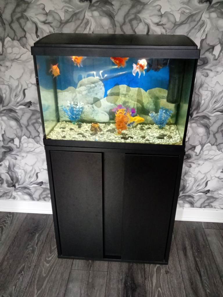 Fish tank both with cabinets