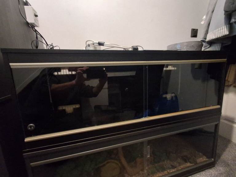 Vivexotic 4ft black vivarium set up