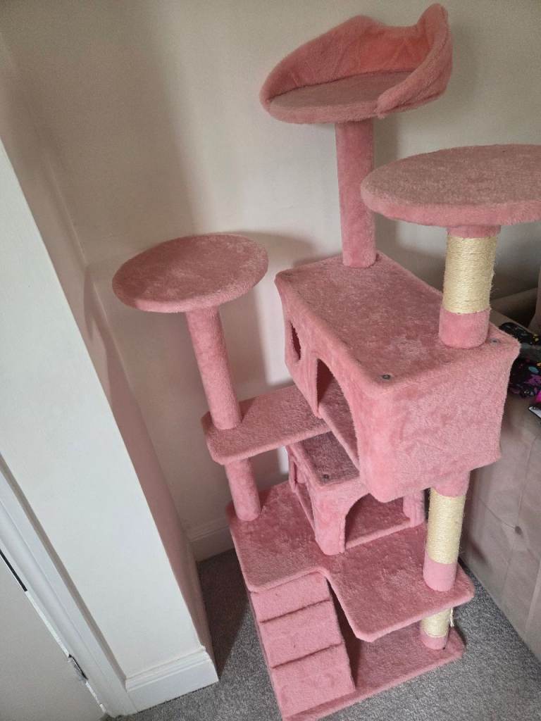 Barley used cat climbing tree