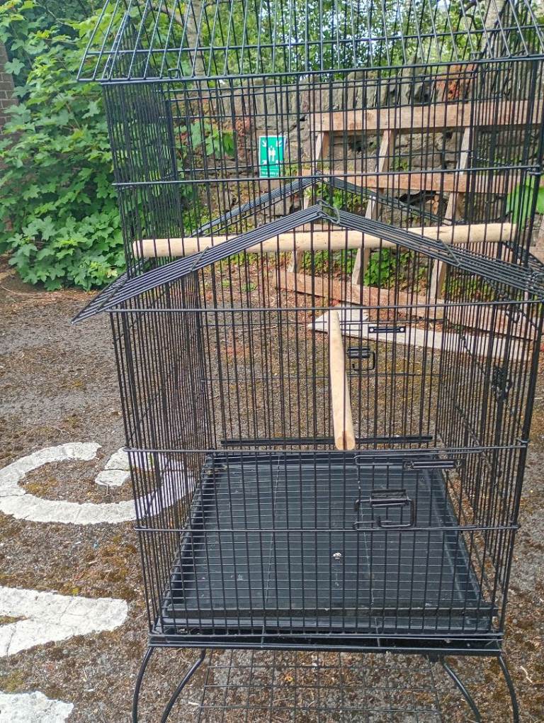 Bird cage 