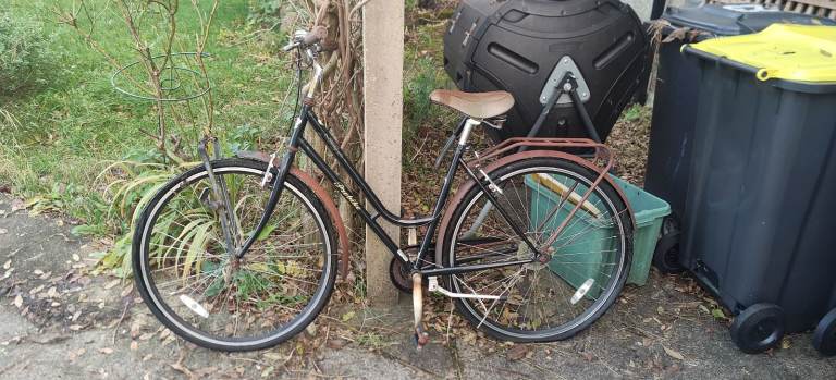 image for Ladies Vintage Pro bike