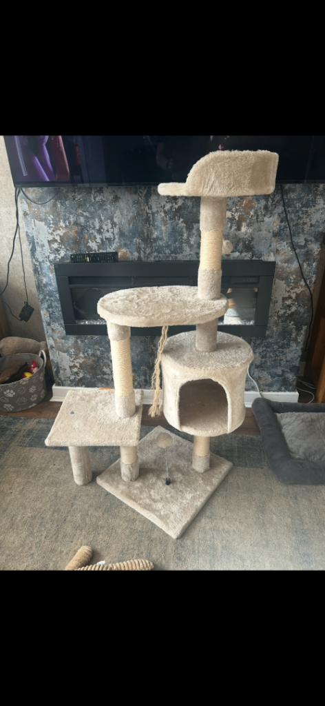 Cat tree  free 