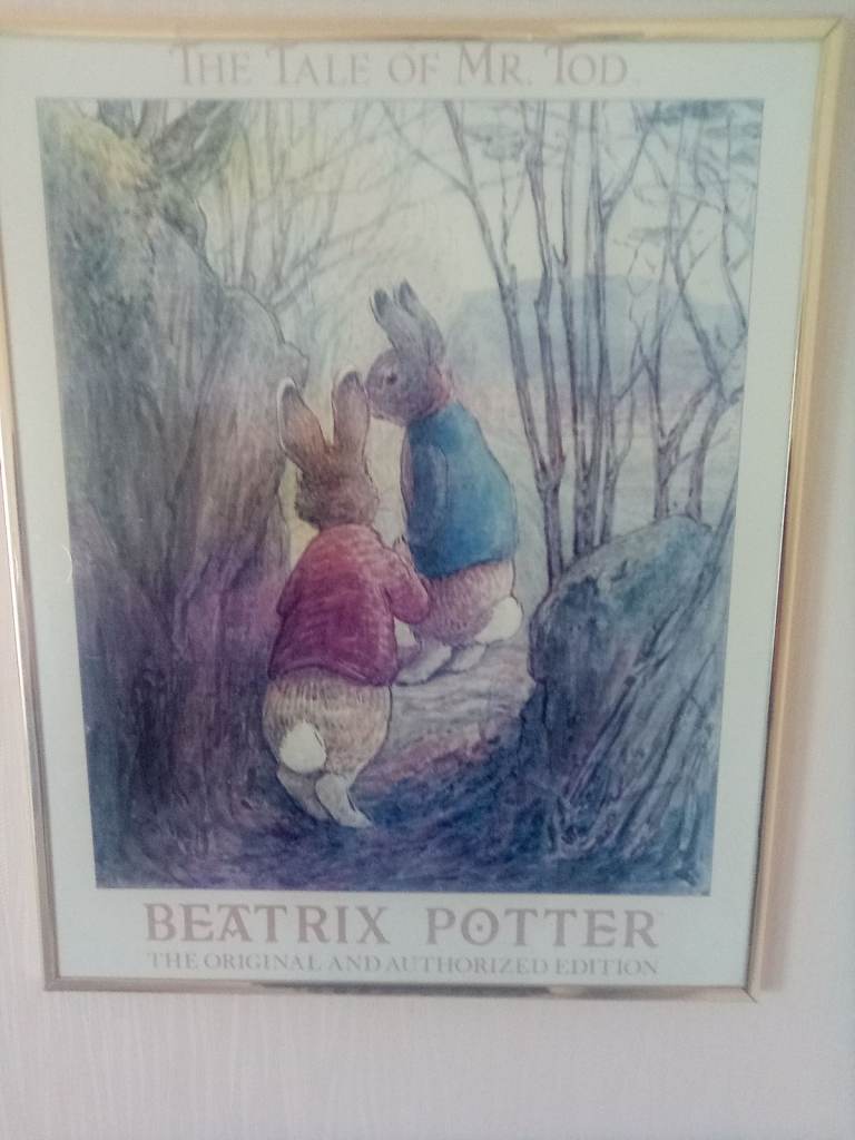 Peter rabbit picture