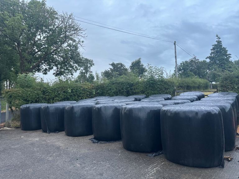 Round bales 