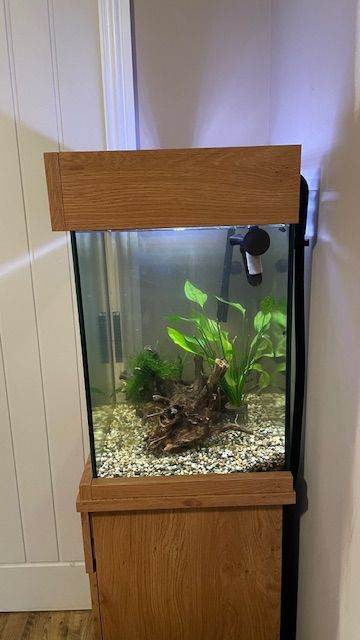 Aqua One Oakstyle 85 Aquarium & Cabinet