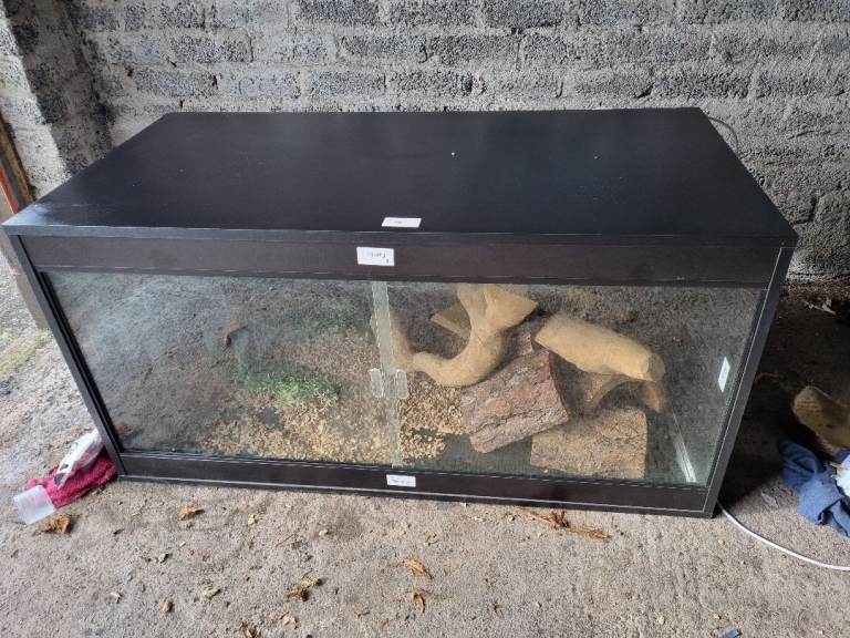 Large Vivarium with light and accessories 