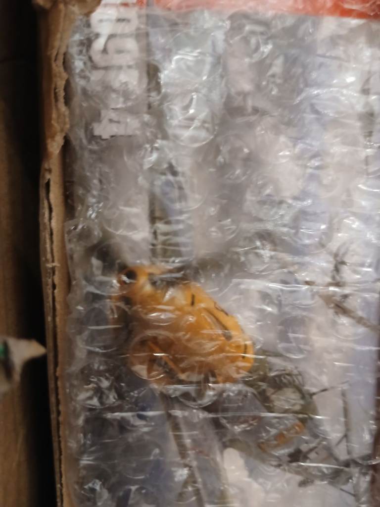 3 large Airfix model kits, new