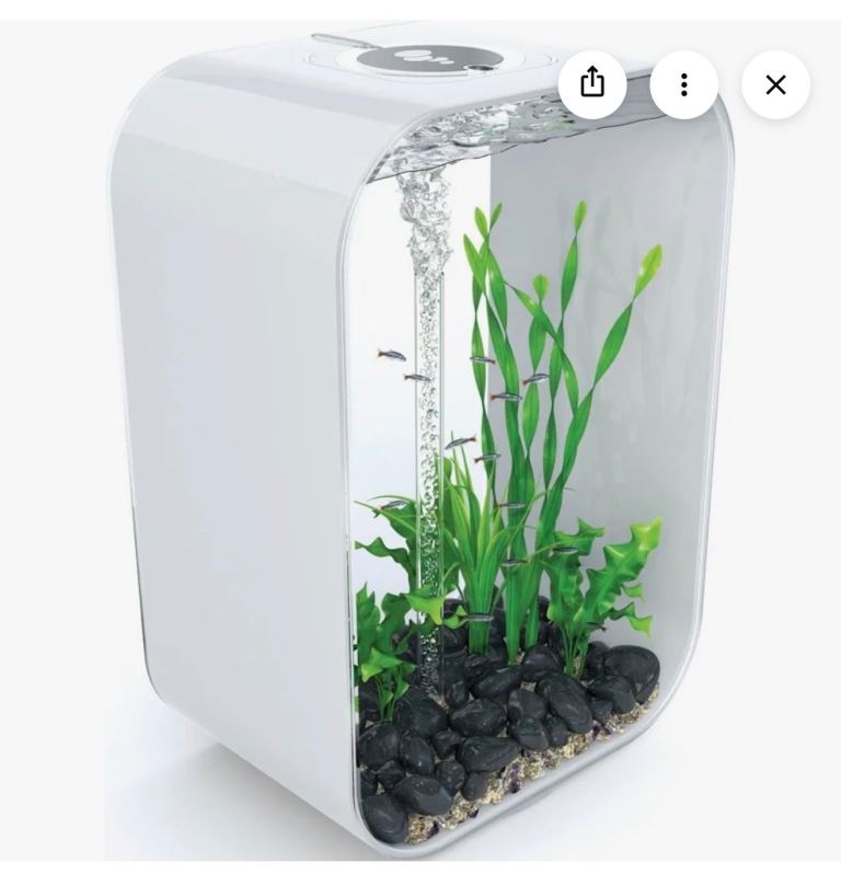 Biorb 60L fish tank