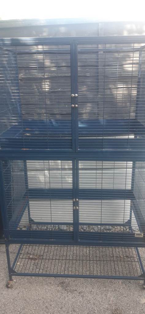 Royal savic suite cage