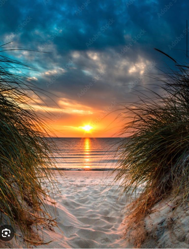 Gentle & Reliable House Cleaning for Seniors