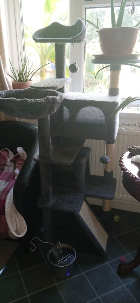 Large Cat Tree