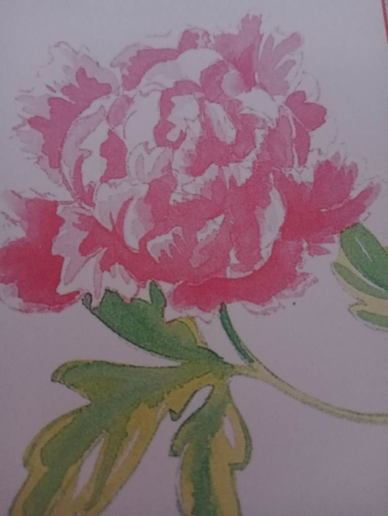 Silk flowers suitable for florist 