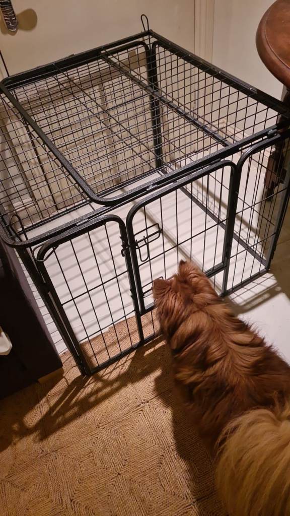 Dog Crate/Playpen — 80cm x 80cm x 61cm