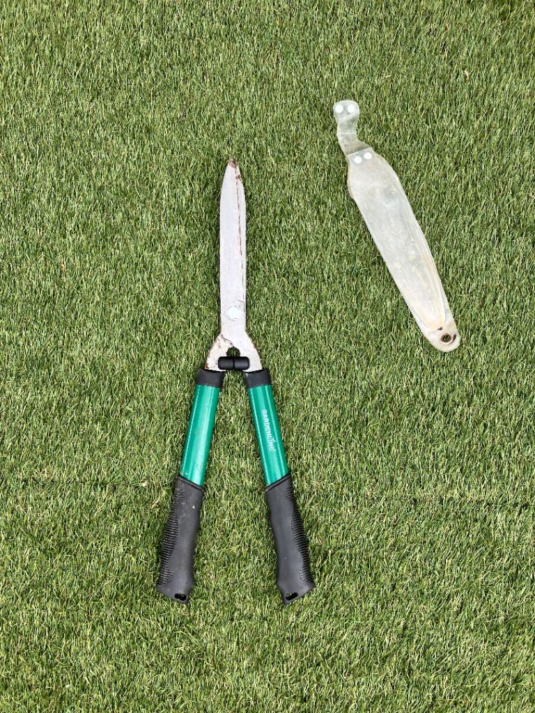 Hedge Shears 