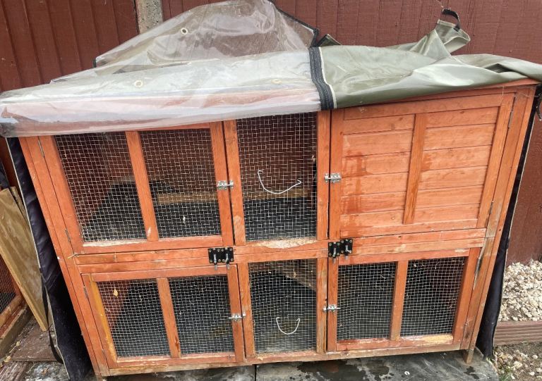 Rabbit hutch