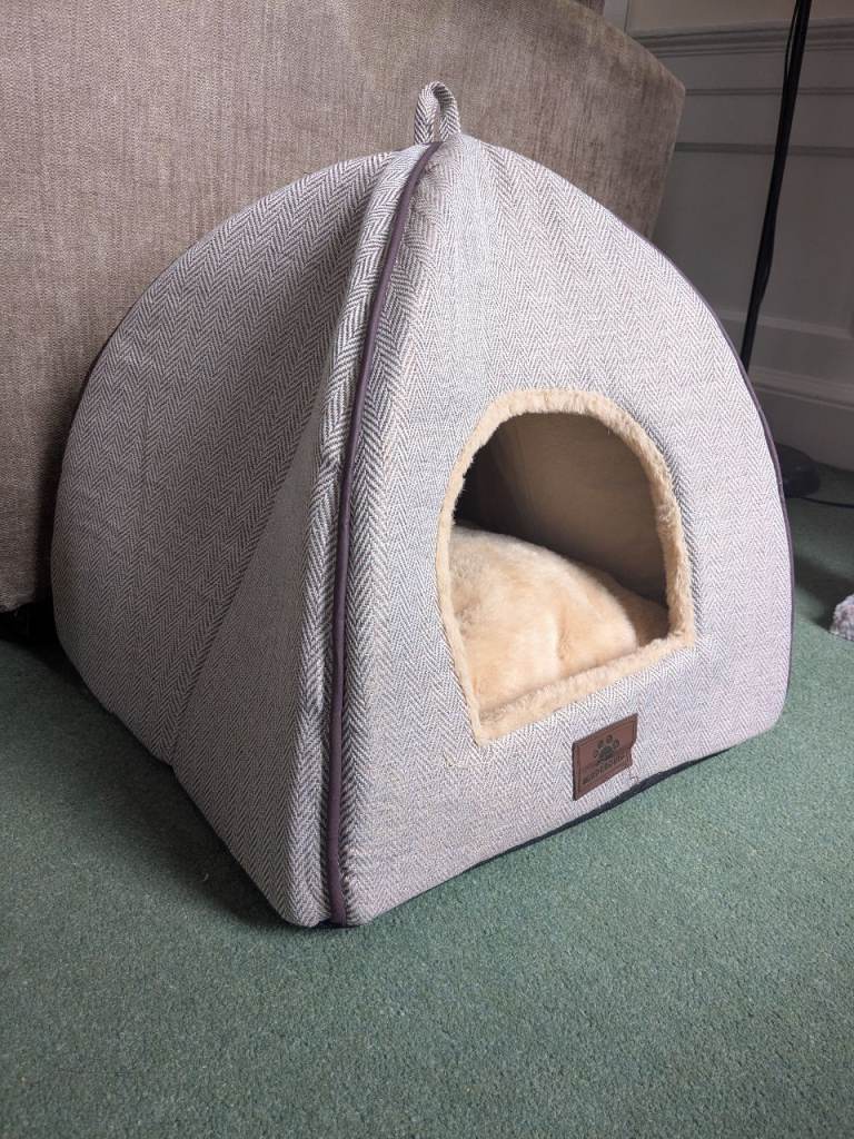 Cat furniture/accessories 