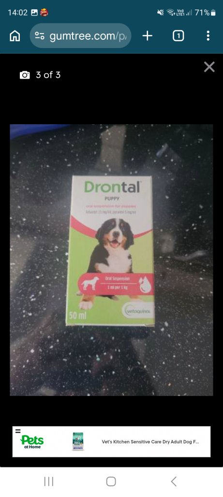 Drontol puppy 