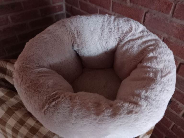 New Pet cuddle cup bed.  Buyer to collect.