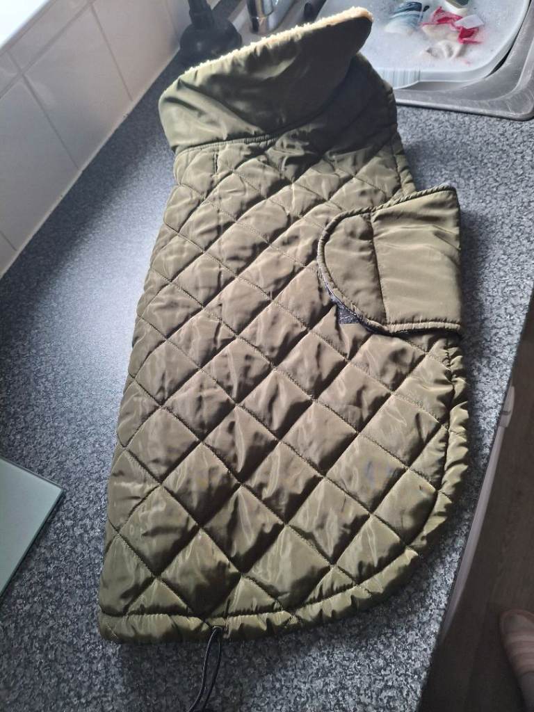 Dog coat medium