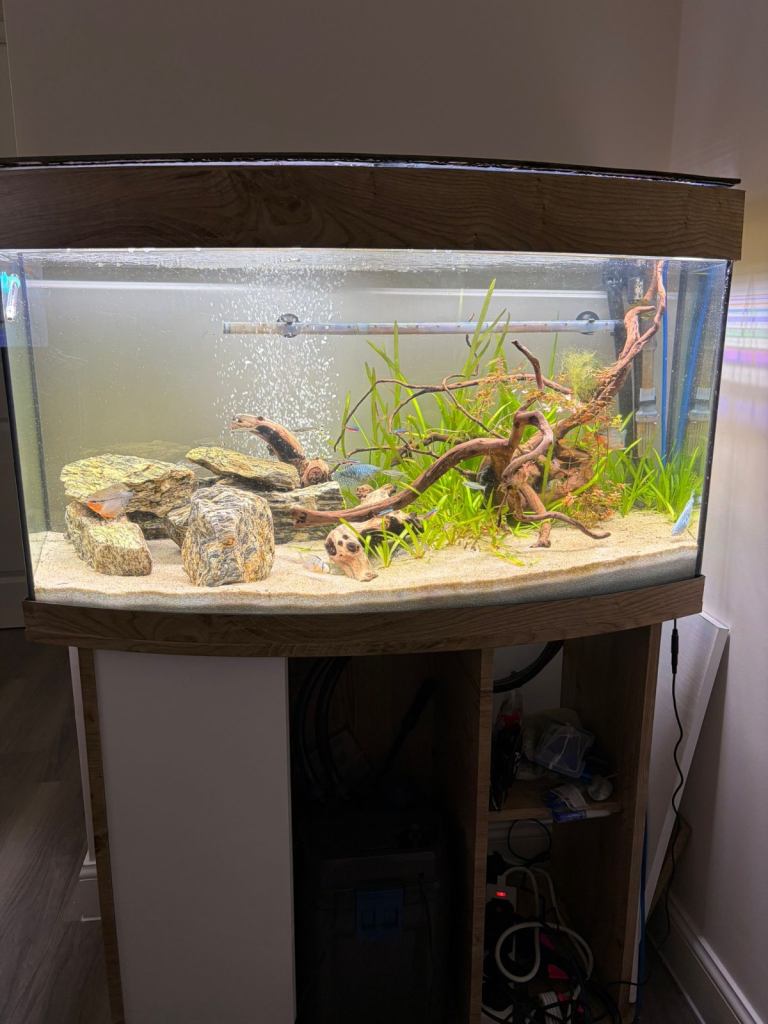 180 litre aquarium full setup