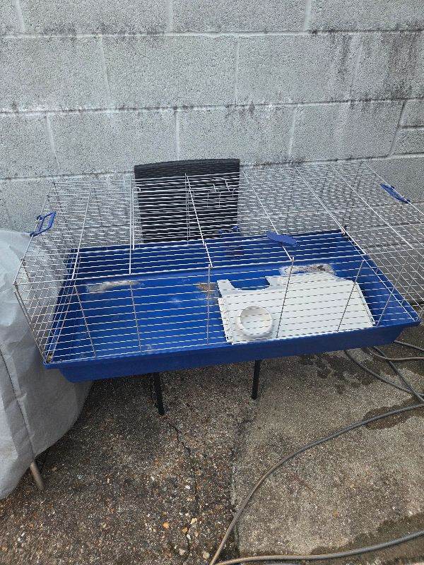 Guinea pig cage