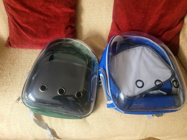 Free 2 back packs for carrying cats