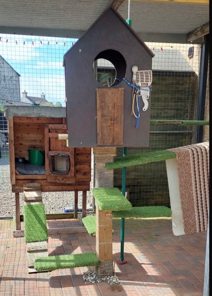 Cat shelter