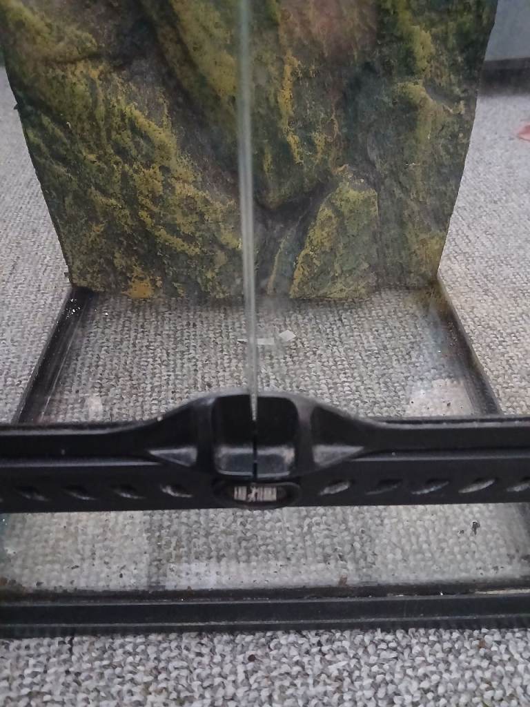 Exo Terra gecko tank with backing
