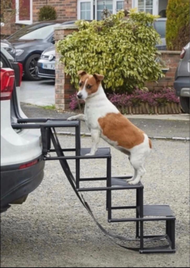 Dog steps for car or van 