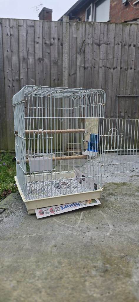 Birds cage