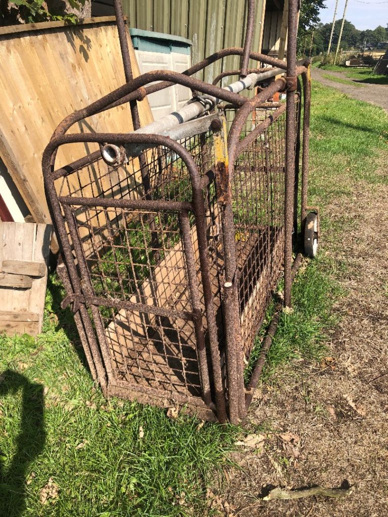 Sheep/pig weighing crate