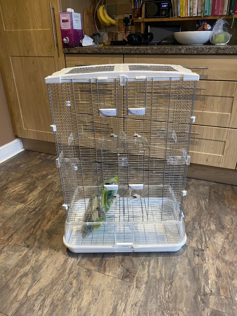 Spacious Vision bird cage 