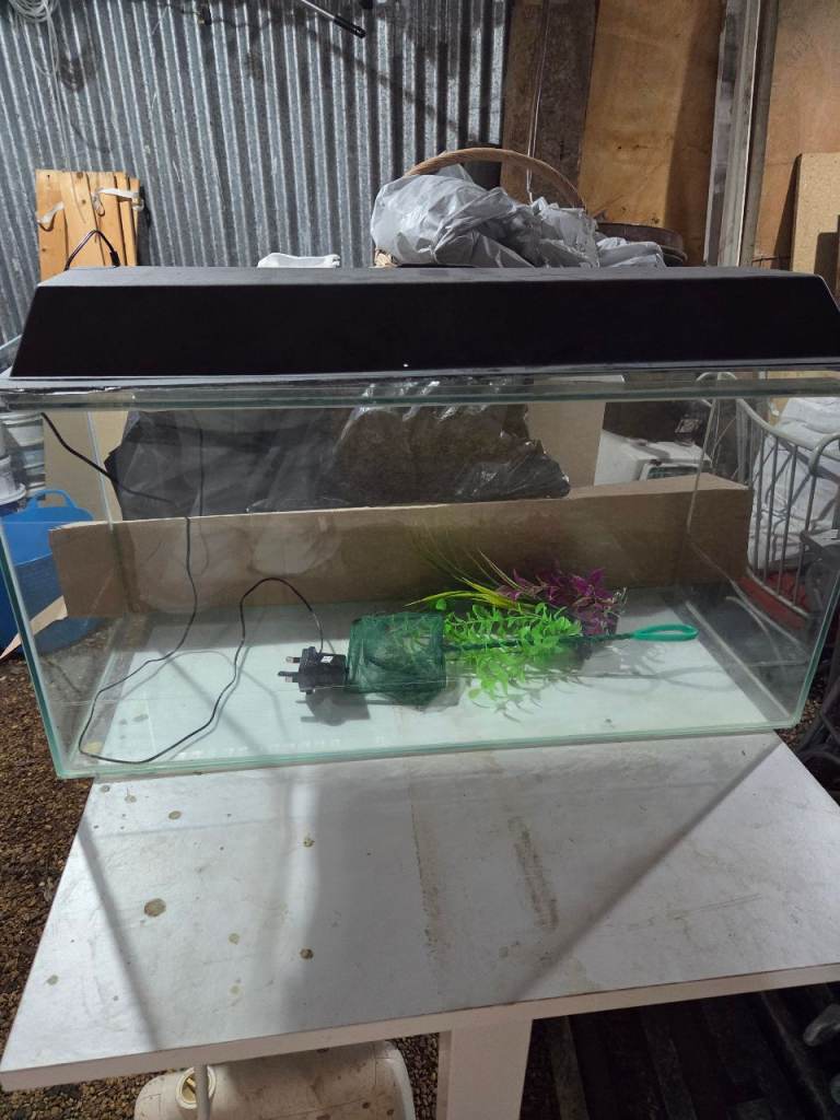 FISH TANK 