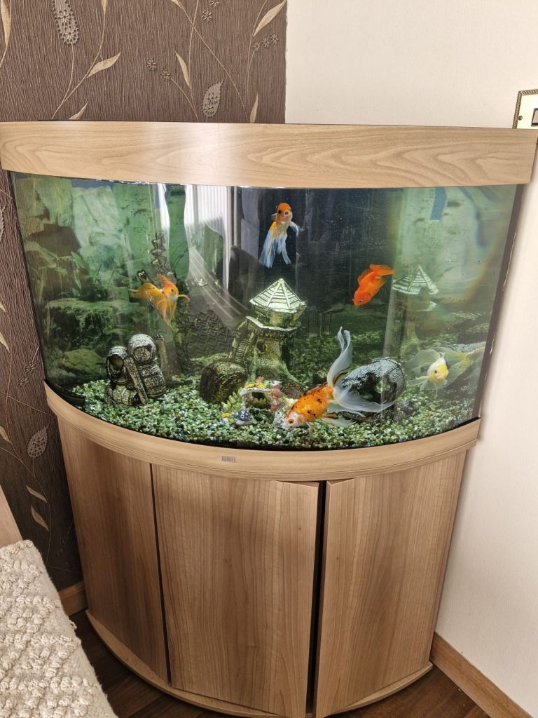 Large Corner Fish Tank with Cabinet – Good Condition