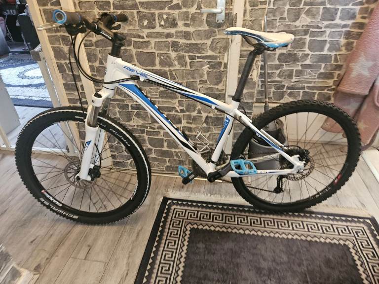Giant reval mountain bike