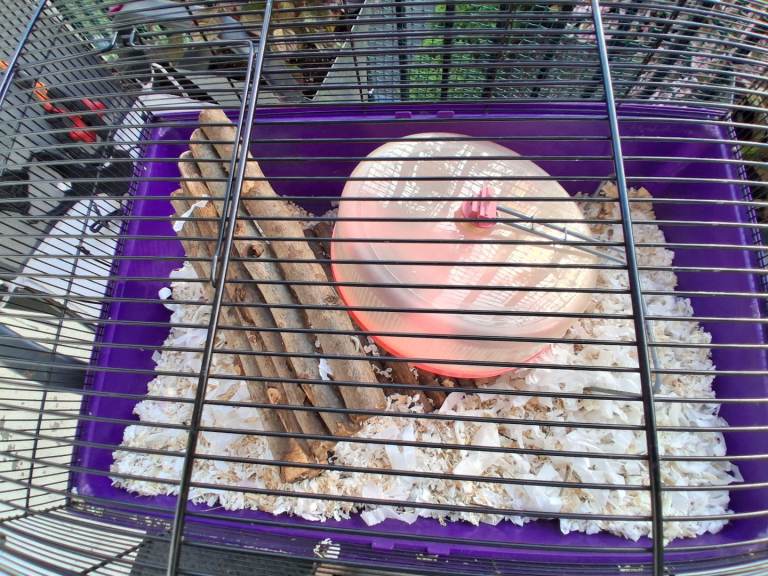 Hamster Cage (Purple) with wheel and wooden play log 