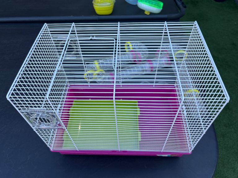 Small animal cage and accessories 