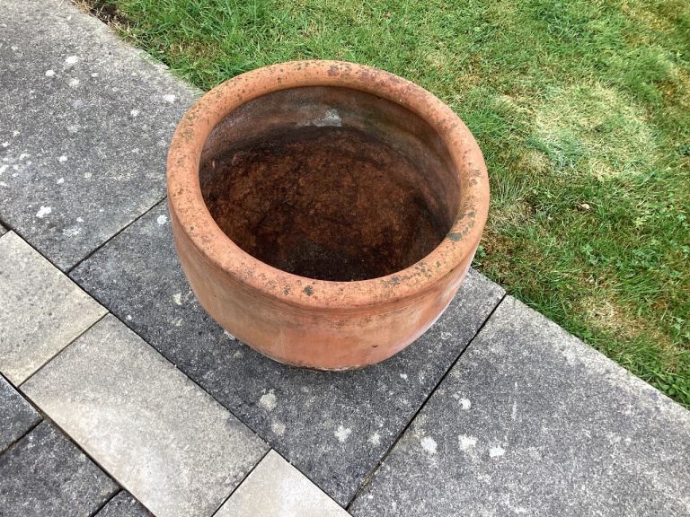Terracotta plant pot