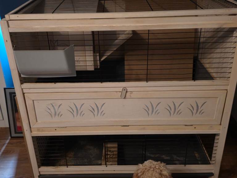 2 storey Guinea pig/rabbit house