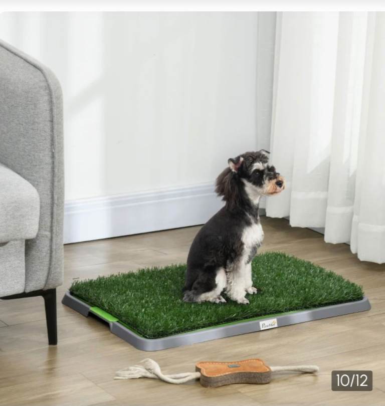 Pawhut puppy training toilet