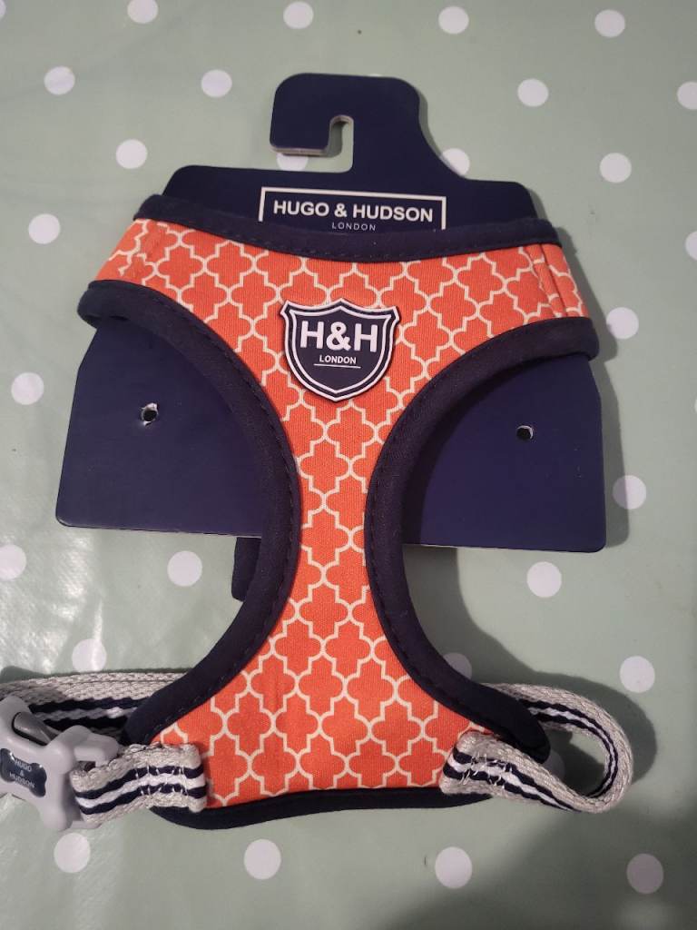 XS Dog harness