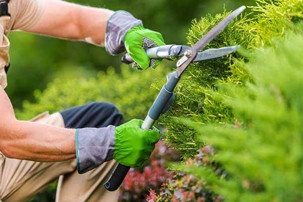 Garden work 